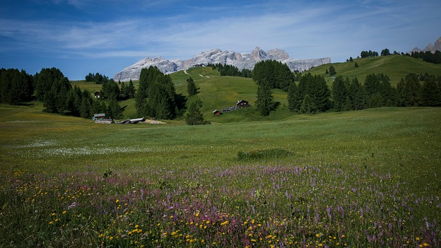 Bjerge, Dolomitterne, Alperne, Scenery