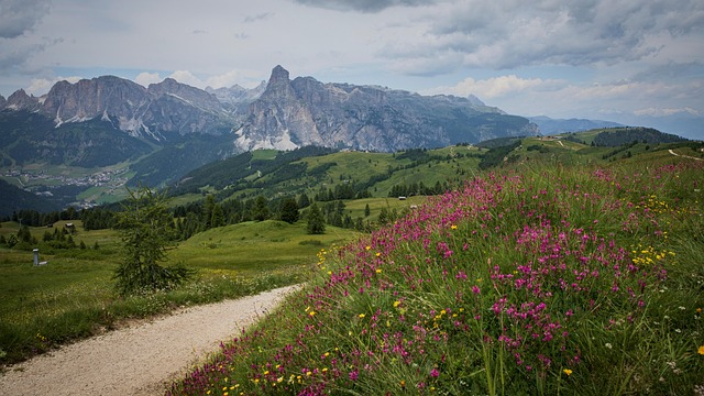 Bjerge, Dolomitterne, Alperne, Scenery