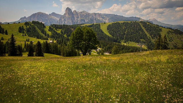 Bjerge, Dolomitterne, Alperne, Scenery
