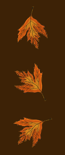 Free foliage nature autumn illustration