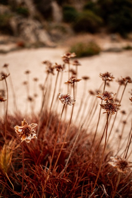 Free Autumn Fall photo and picture