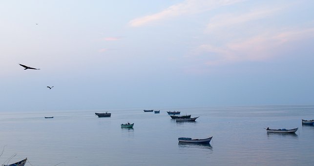 Free Sunset Nature photo and picture