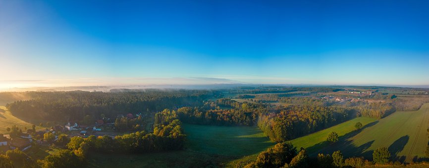 Val, Mist, Woud, Groente, In De Ochtend