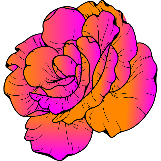 Free rose flower nature illustration