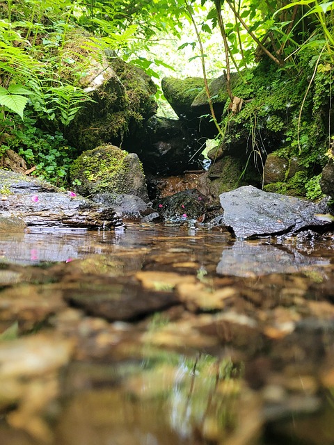 Free Donegal Ireland photo and picture
