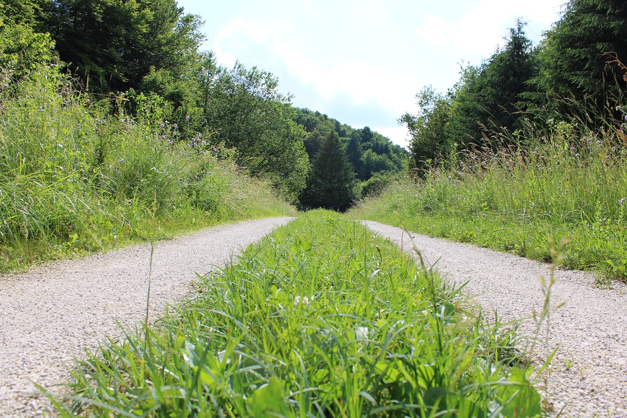 Landscape Road Nature - Free photo on Pixabay - Pixabay