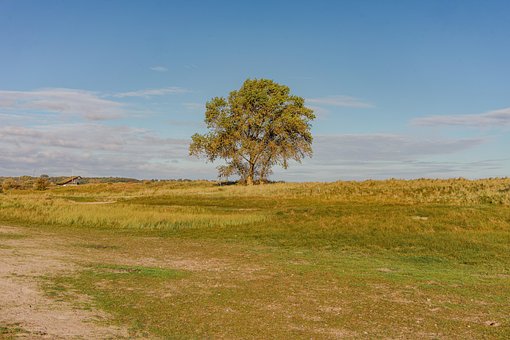 Free Fall Nature photo and picture
