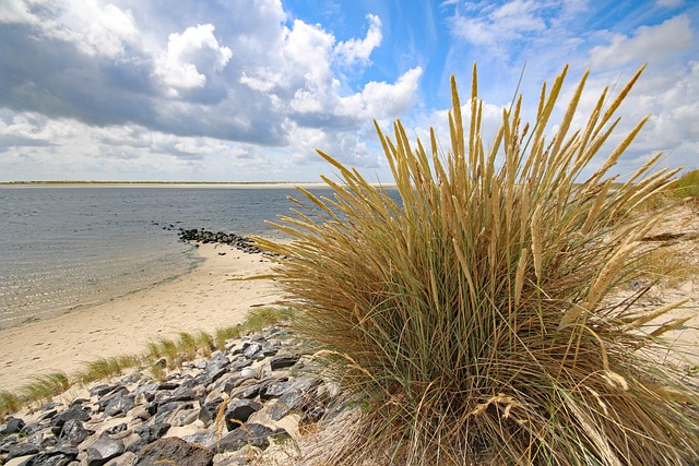 Free Amrum Island photo and picture