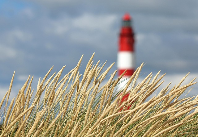 Free Lighthouse Beach Grass photo and picture