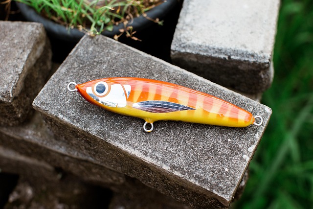 Free Fishing Bait photo and picture