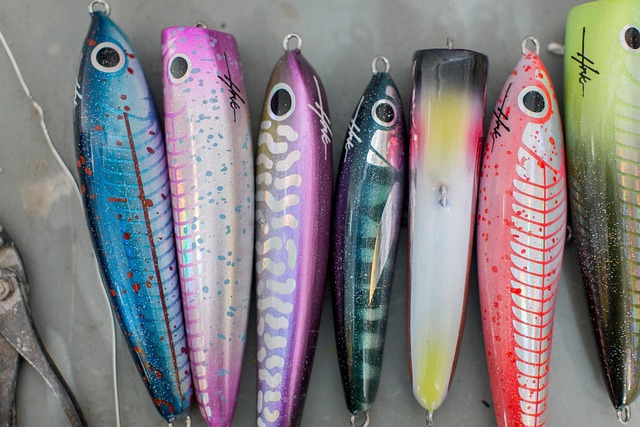 Free Popper Stickbait photo and picture