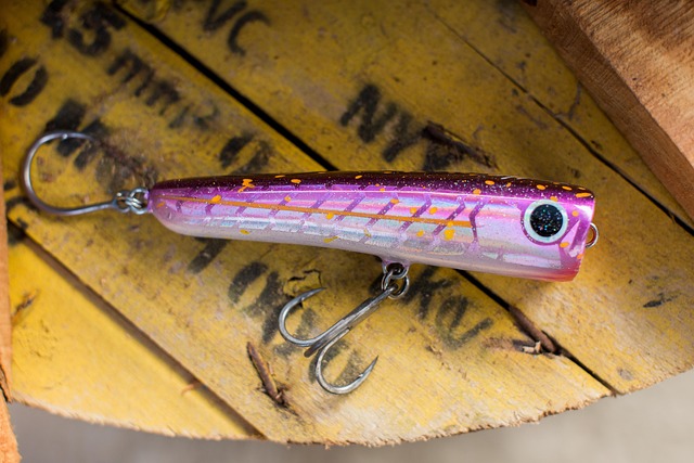 Free Popper Sea photo and picture