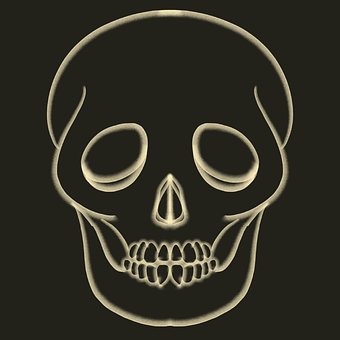 Free Skull Halloween photo and picture