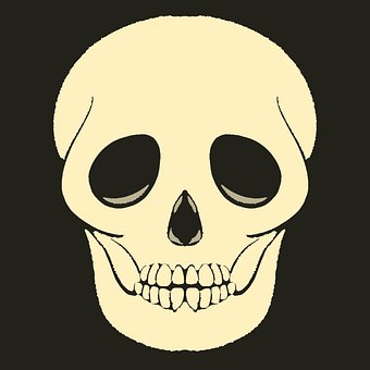 Free Skull Halloween photo and picture