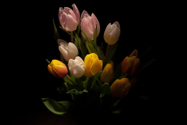 Flora, Behang 4K, Natuur, 4K-Achtergrond