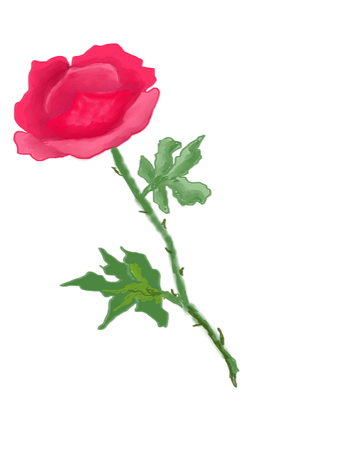 Roșu, Floare, Trandafir, Digital, Izolat