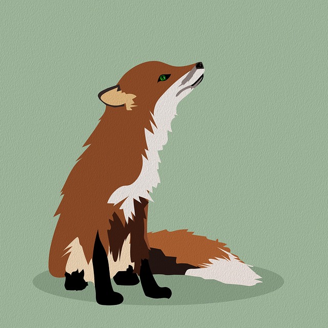 Download free HD stock image of Fox Animal Free fox animal cartoon illustration