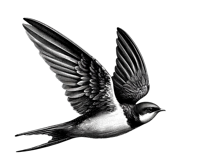 Free ai generated swallow bird illustration
