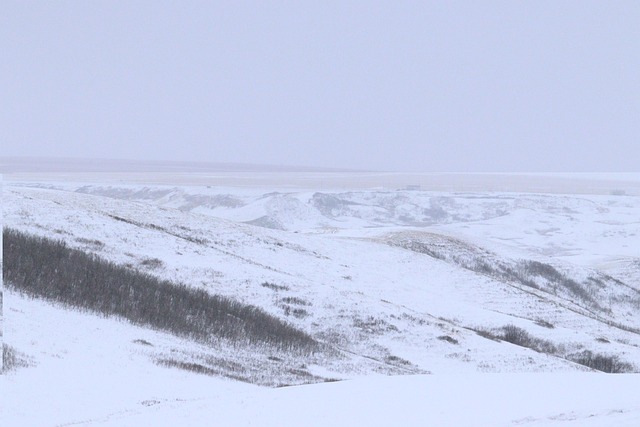 Prärie, Winter, Whiteout, Landschaft