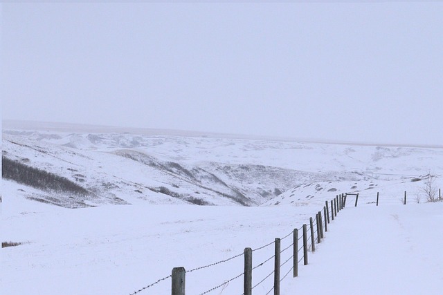 Winter, Prärie, Landschaft, Zaun