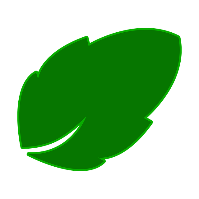 Hojas, Verde, Naturaleza, Bosque, Otoño