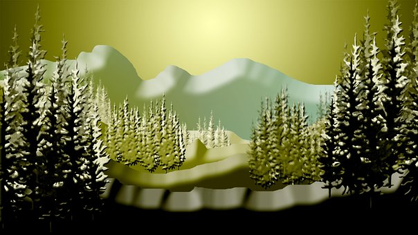 Fyrretræ, Gran, Natur, Skov, Flora, Træ