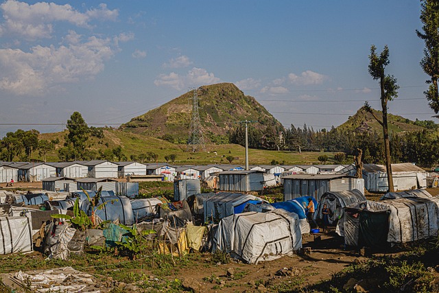 Flygtningelejre, Goma, Rwanda, M23, Børn