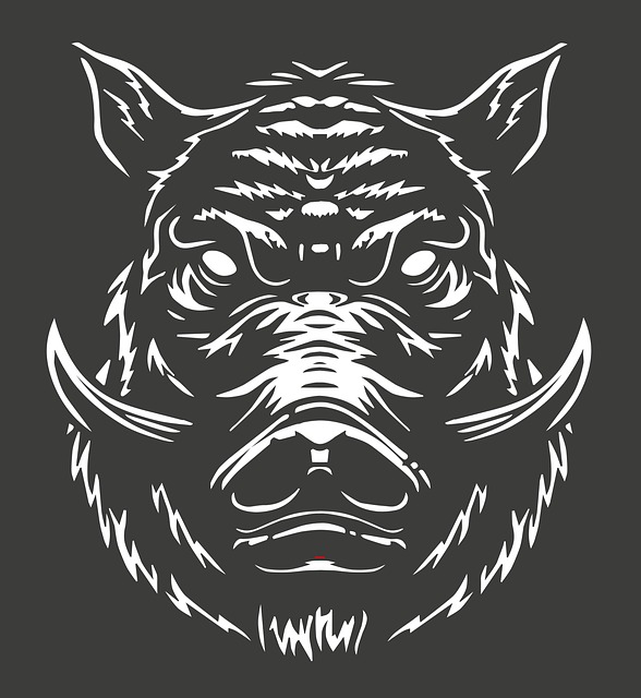 Free Nature Pig vector and picture