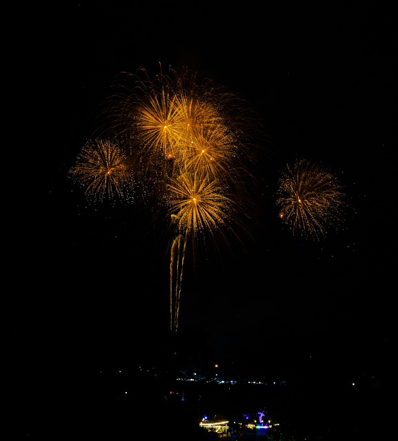 Free Fireworks Flower photo and picture