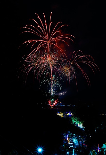 Free Fireworks Pyrotechnics photo and picture
