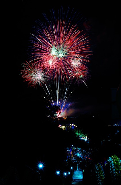 Free Fireworks Pyrotechnics photo and picture