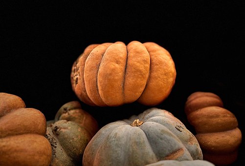 Free Pumpkins To Crush photo and picture