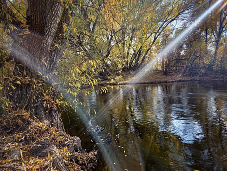 Herbst, Vergeben, Wettbewerb, Fluss