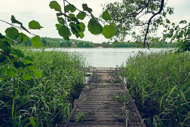 Sø, Natur, Skz, Landskab, Molo, Landsby