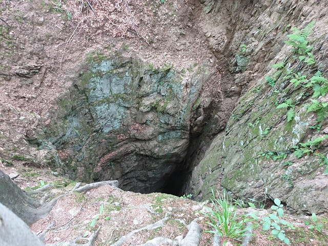 Free Adit Mountains Owl photo and picture