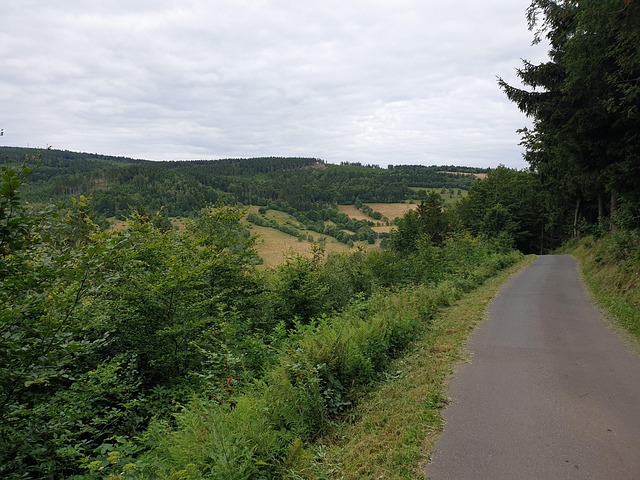 Free Sudetes Mountains Owl photo and picture
