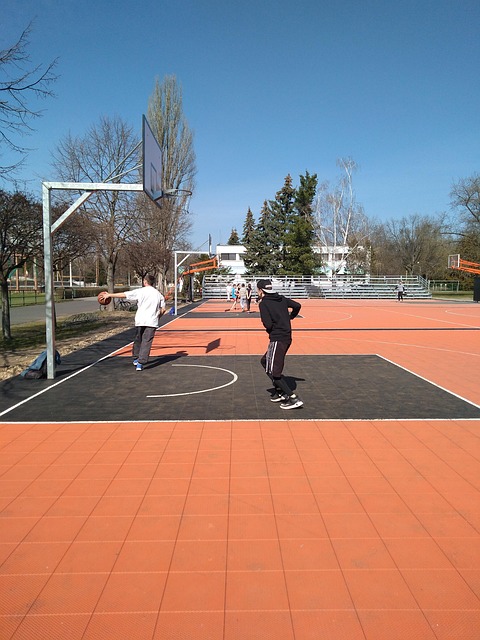 Free Basketball Sports photo and picture