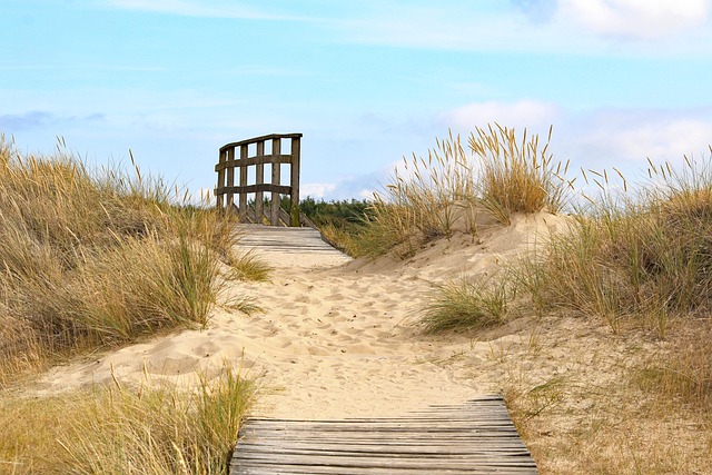 Free Path Sand Dunes photo and picture