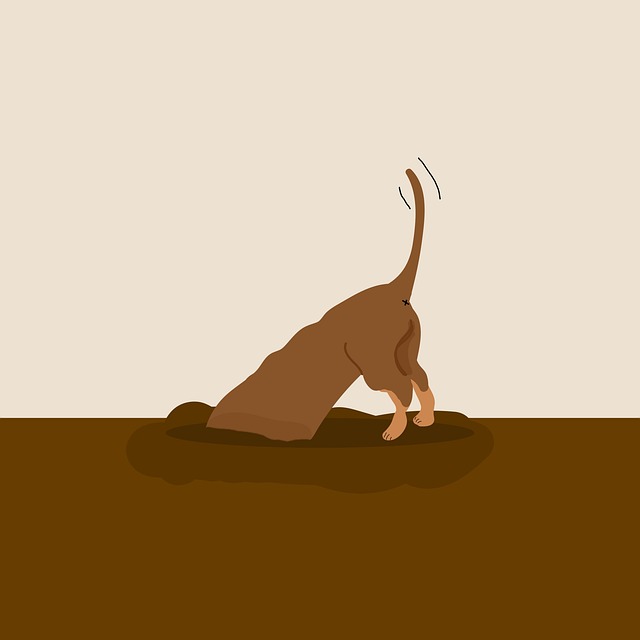 Free animal dog dig illustration