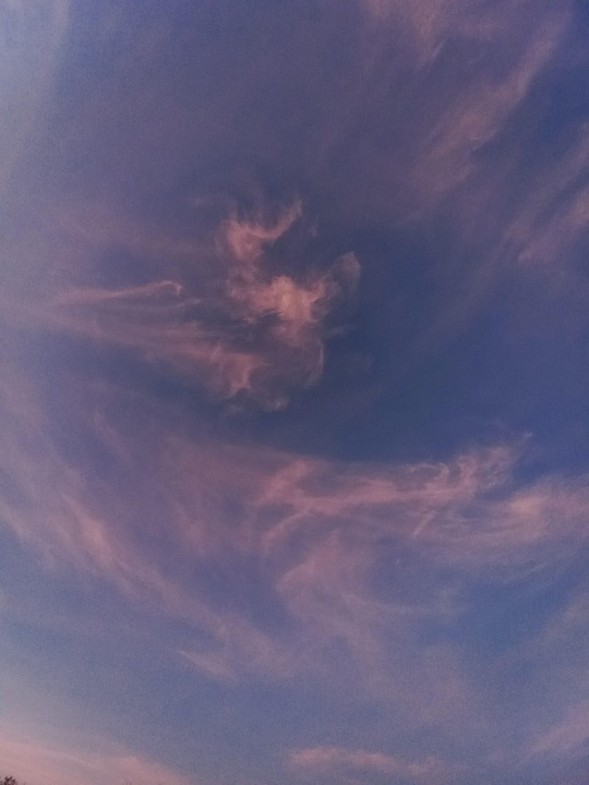 Contrast Nature Sky - Free photo on Pixabay - Pixabay