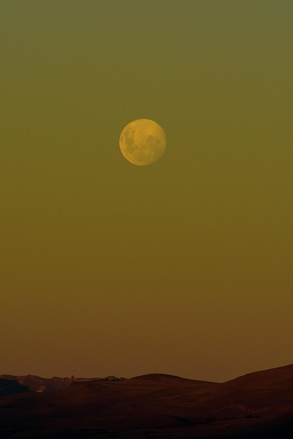 Free Moon Nigth photo and picture