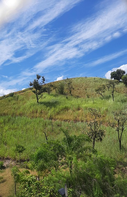 Free Montanha Verde photo and picture