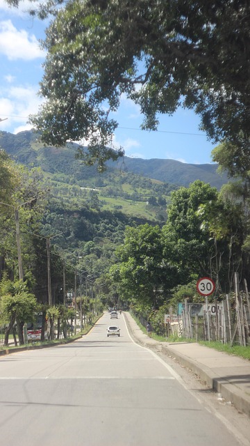Stradă, Peisaj, Bulevard, Copaci, Natură