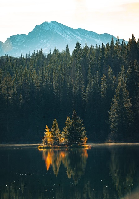 Sozinho, Autum, Cair, Natureza, Lago