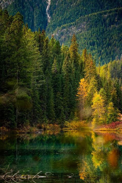 The Rise of Sustainable Choices: How Canadian Hardware Companies are Going Green