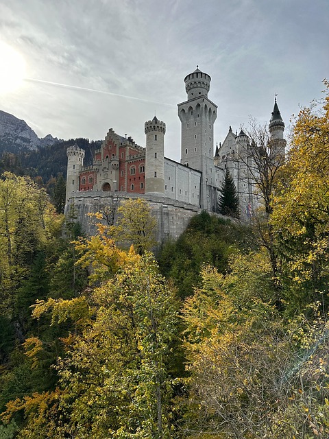 Free Castle Forest photo and picture