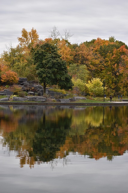 Free Fall Color photo and picture
