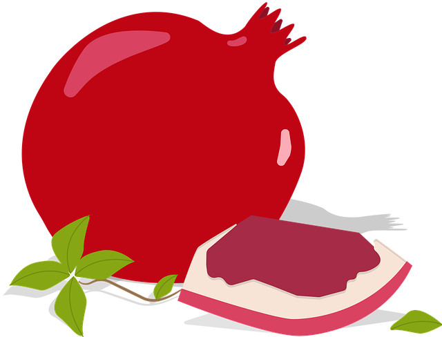 Obst, Granatapfel, Zeichnung