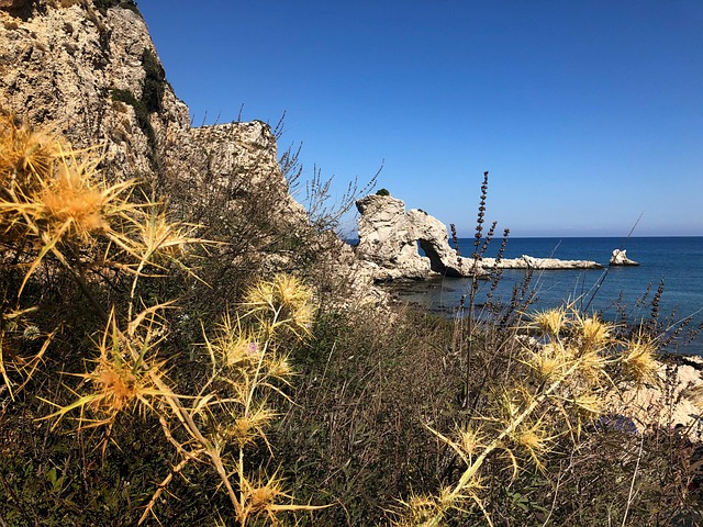Free Rhodes Greece photo and picture