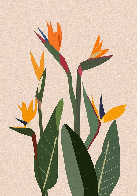 Free bird of paradise plant floral background plant illustration
